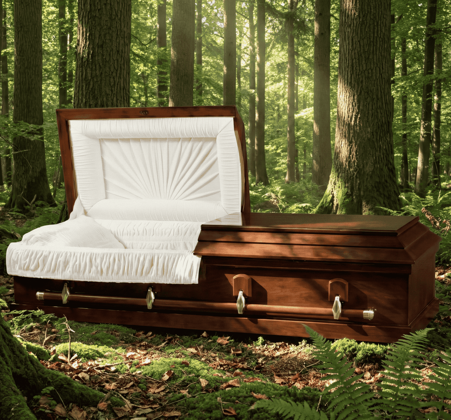 Over Size Caskets category